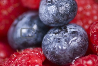 Blueberries and Raspberries Close-up