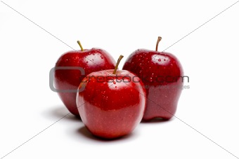 Red Apples Glistening With Water