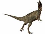 Ceratosaurus nasicornis-3D Dinosaur