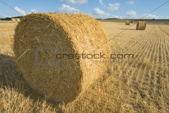 Field filled with bales near Angouleme