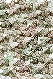 Pattern with butterflies