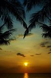 sunset in tropics