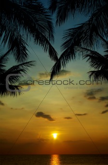 sunset in tropics