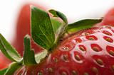 Close-up Strawberries