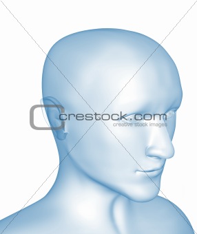 Transparent 3d head of the man - x-ray
