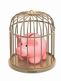 Piggy bank closed in a cage