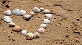 heart of seashells