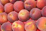 fresh peaches background