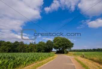rural  farmland
