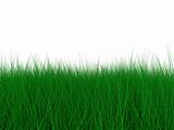 Green grass for background