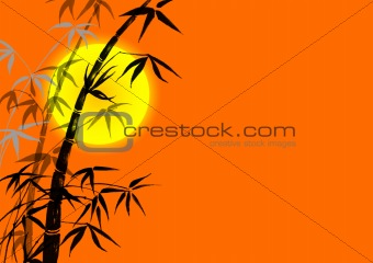 silhouette of branches of a bamboo