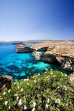 Malta Landscape