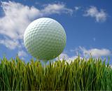 golf-ball on green