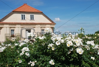 Beautiful ornamental garden and gardener`s house in background