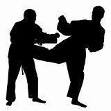 Karate fight