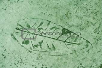 Leaf impression in a cement green sidewalk