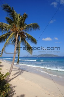 Deserted Caribbean beach