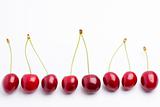 row of red cherries on white background