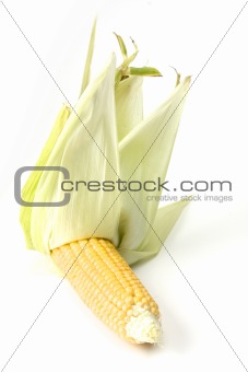 detail of a fresh corn cob on white background