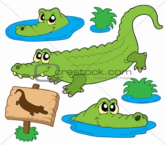 animal crocs