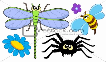 Cute insect collection