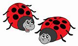Cute ladybugs vector illustration