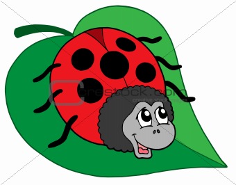 Cute ladybug on leaf vector illustration