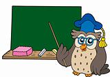 Owl teacher with blackboard