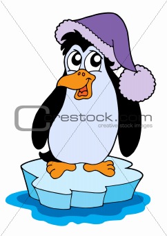 Penguin on iceberg vector illustration