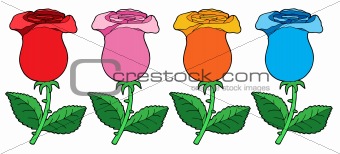 Various color roses collection vector illustration