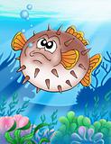 Balloonfish with bubbles