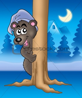 Bear on tree