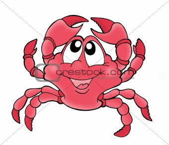 Cute crab