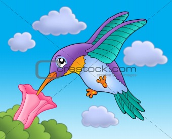 Humming bird with pink flower