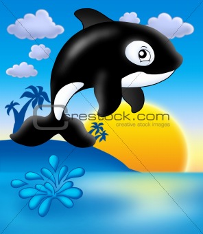 Killer whale with sunset