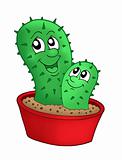 Pair of cactuses