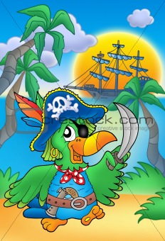 Pirate parrot with boat