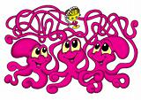 Three octopuses
