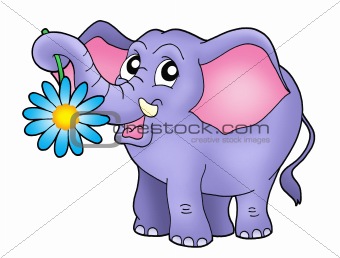 Small elephant with flower