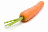 one fresh carrot on white background