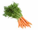 fresh carrots on white background