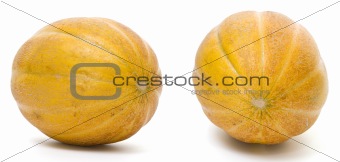 yellow melon 
