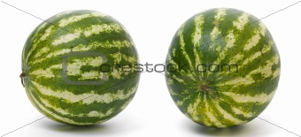 watermelon view