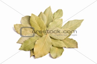 Pile of bay leaves isolated