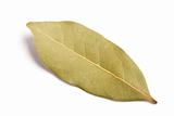 Bay leaf isolated
