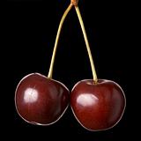 Two cherries hanging isolated