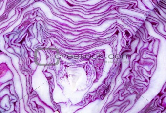 Cabbage Texture