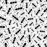 Seamless Repeating Ant Pattern