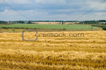rural view