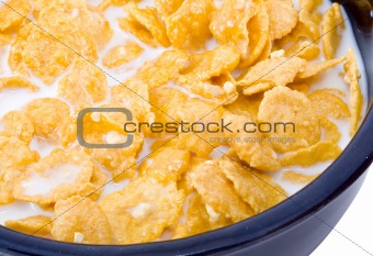Bowl of Cornflakes with Milk